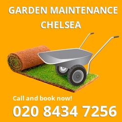 Chelsea Gardeners | Chelsea's Garden Maintenance Services - London ...