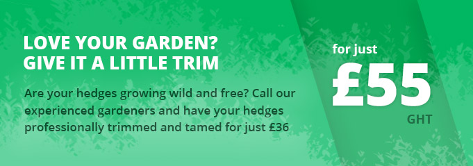 Get a Full Garden Makeover for as Low as &pound;33 per Hour