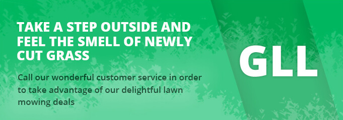 Incredible Deal on Lawn Mowing