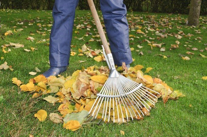 garden clearance