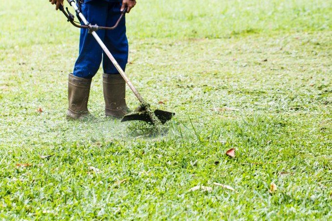 lawn mowing