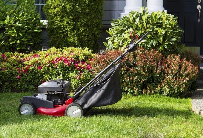 grass cutting