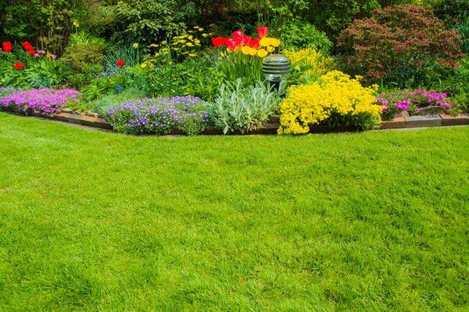 grass type
