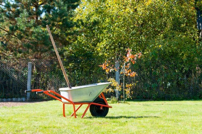 lawn restoration