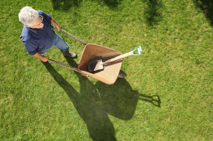 fixing lawn patches