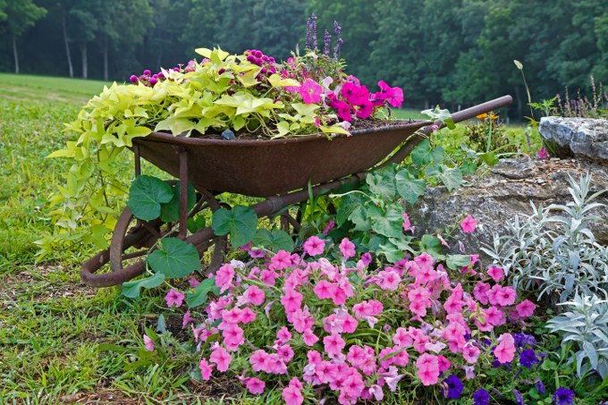 landscape gardening
