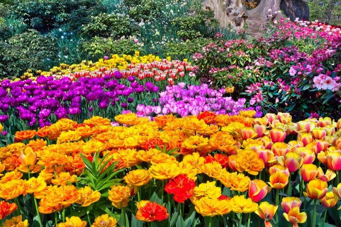 garden maintenance