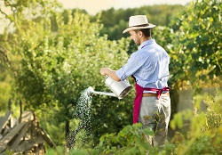 Reliable Gardener London