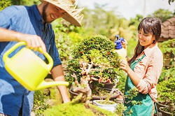 Landscaping Design Ideas
