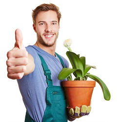 Shepherds Bush landscaping ideas for small gardens W12