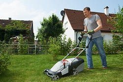 SE2 garden landscapers Crossness