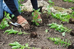 IG5 garden landscapers Clayhall
