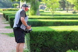Ratcliff garden maintenance E7