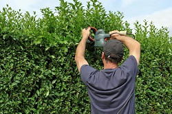 Barnehurst garden maintenance DA7
