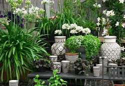 SE15 low maintenance gardens in Nunhead