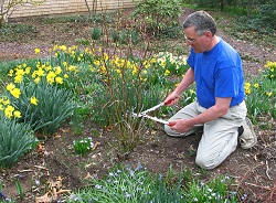 Harold Wood garden maintenance RM3