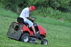 RM3 grass cutting in Harold Wood