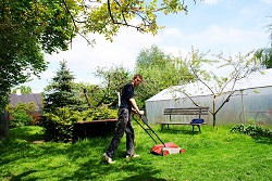 HA6 grass cutting in Northwood