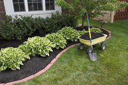 Tulse Hill garden maintenance SE24