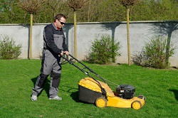 Falconwood gardening and maintenance services SE9