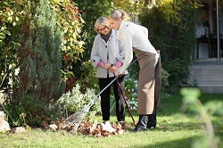 Elephant and Castle garden maintenance SE11
