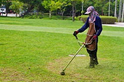 Erith garden maintenance DA8