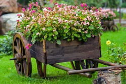 garden cleaners in Ashford