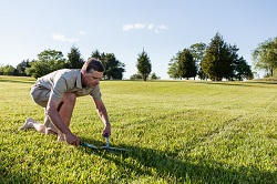 garden cleaners in Crystal Palace