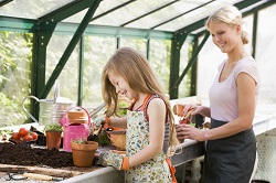 garden cleaners in Camberwell