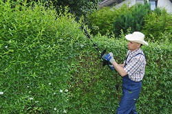 mowing lawns in Thames Ditton