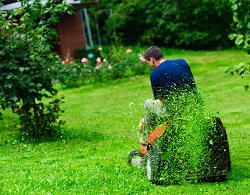 St Johns gardening services SE8