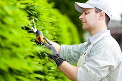 Eastcote gardening services HA4