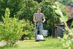 gardening services in Abbey Wood