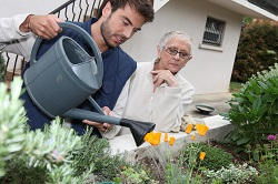 SE2 gardening Abbey Wood