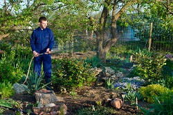 gardening services in Peckham Rye
