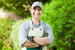 gardening services in Morden