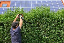 gardening services in Cobham
