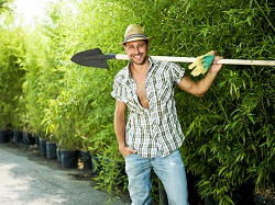 hedge trimming services Becontree
