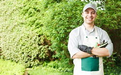 Greenhithe landscape gardeners DA9