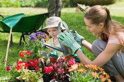 SE4 landscaping and gardening company in Brockley