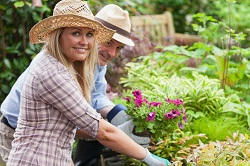 Worcester Park landscape gardeners KT4