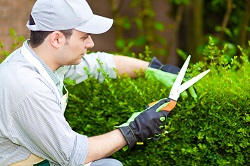 SE1 landscaping and gardening company in Waterloo