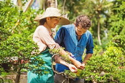 HA2 landscaping and gardening company in Harrow