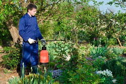 Waterloo landscape gardeners SE1