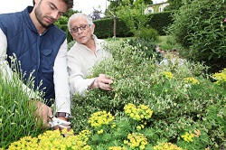 Chadwell Heath landscape gardeners RM6