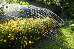 garden and landscape design SE1