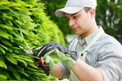Bromley landscaping BR1