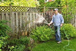 Brentford landscaping a small garden