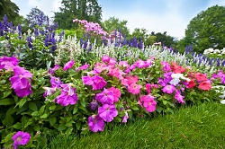 commercial landscaping SM6
