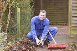 professional lawn care RM16